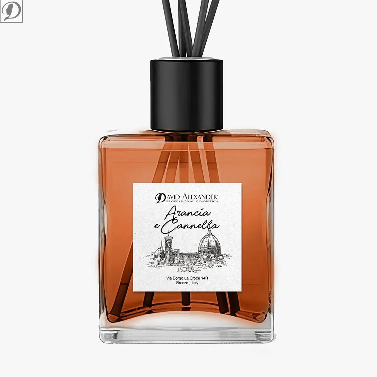 PROFUMO AMBIENTE ARANCIA E CANNELLA - david alexander skin lab